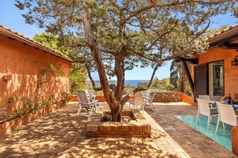 Natural landscape, Garden, Balcony/Terrace