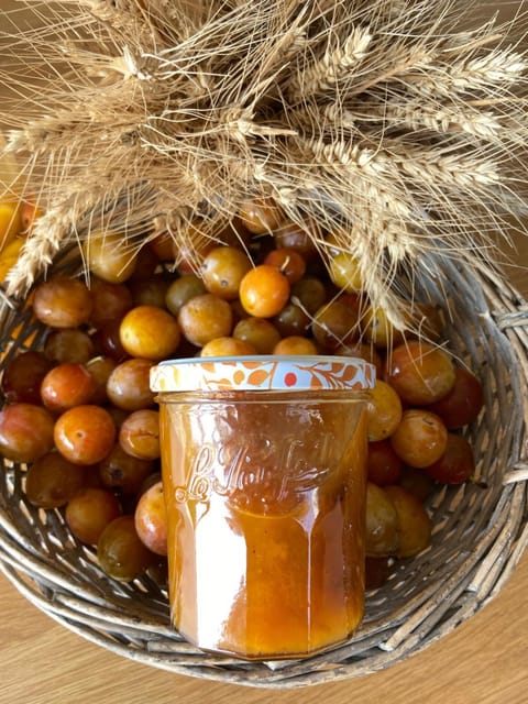 COSY APPART Apartment in Vosges