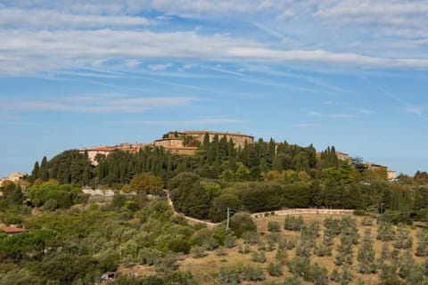 Toscana Mare/Collina Castagnaeto Carducci Apartment in Castagneto Carducci