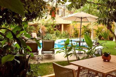 Patio, Day, Garden, Garden view, Pool view, Swimming pool