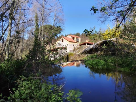 Natural landscape, River view