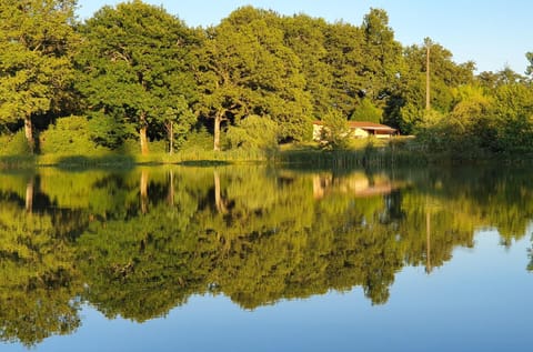 Natural landscape