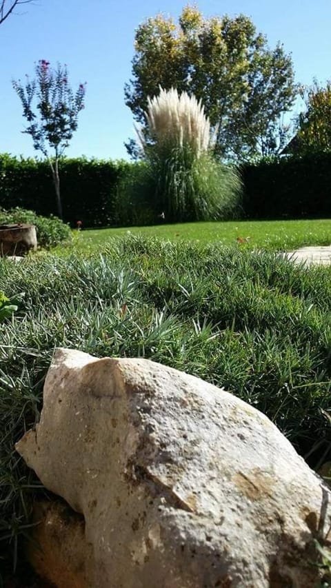 Apartman Corluka Grude Apartment in Split-Dalmatia County