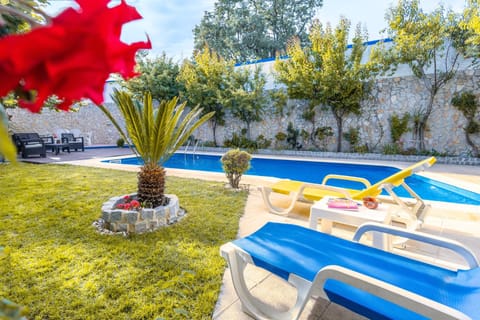 Patio, Spring, Day, Garden, Garden view, Pool view, Swimming pool, Swimming pool, sunbed