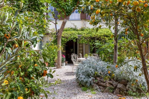 Garden, Garden view