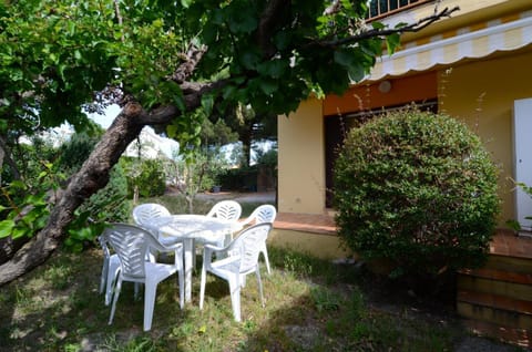 Patio, Garden, Garden view