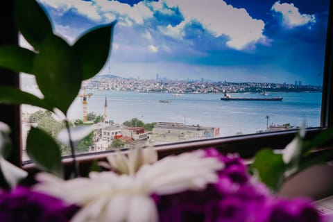 Sea view