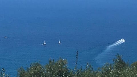 View (from property/room), Sea view