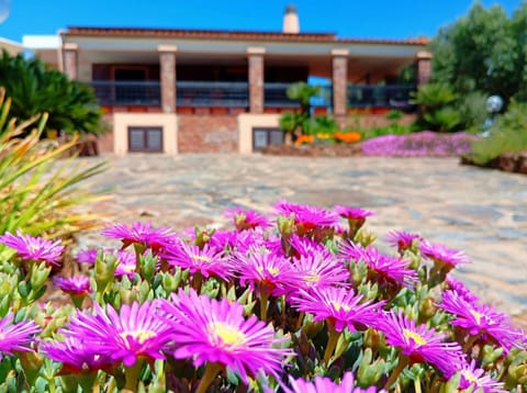 Alghero Villa Barranch with sea view swimming pool for 6 people Villa in Sardinia