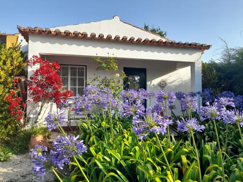 Spring, Day, Garden, Garden view