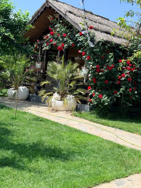 Property building, Garden, Garden view