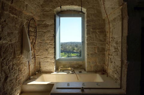 Shower, Bathroom, Garden view