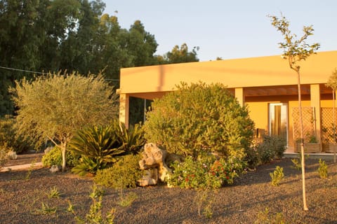 Property building, Garden