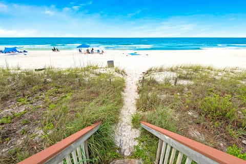 Latitude 29 #25 House in Sunnyside