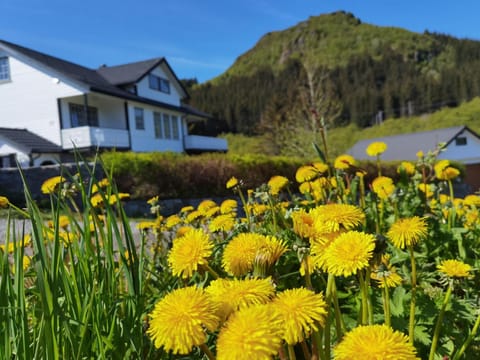 Banpim apartment with Jacusszi Apartment in Lofoten
