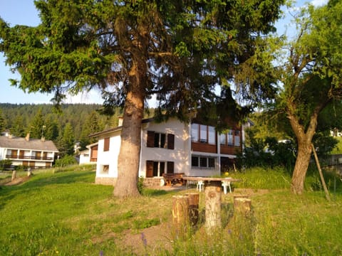 Property building, Garden, Garden