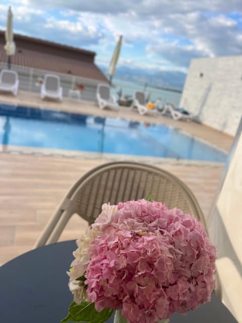 Iart Residence Bed and Breakfast in Montenegro