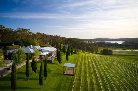 Natural landscape, Garden, Garden view, Lake view