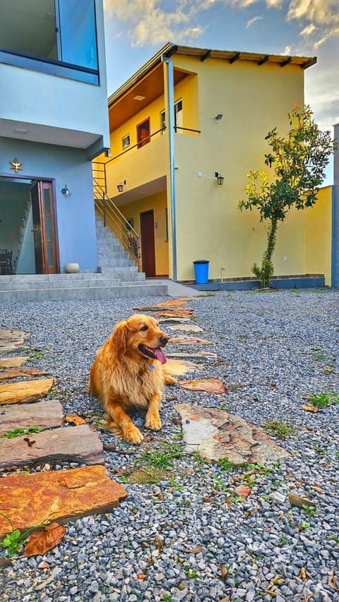 View (from property/room), Pets
