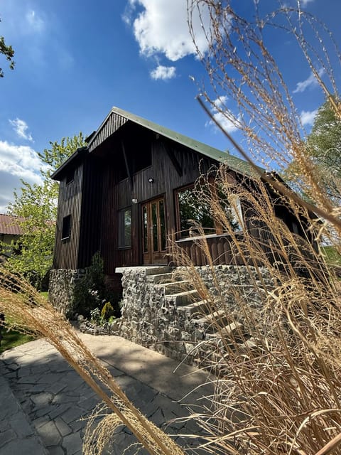 River house Vasa Villa in Belgrade