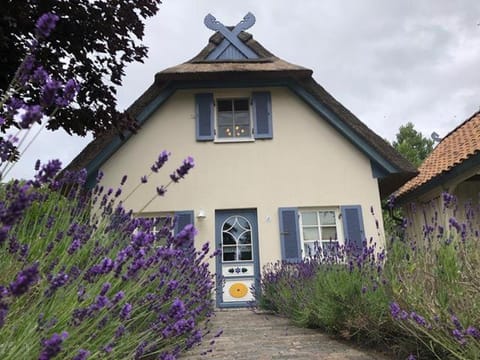 Möwennest House in Mecklenburg-Vorpommern, Germany
