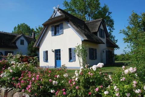 Mohnblume House in Mecklenburg-Vorpommern, Germany
