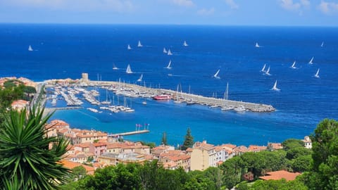 Blue Living - Alta Marina Apartment in Marciana Marina