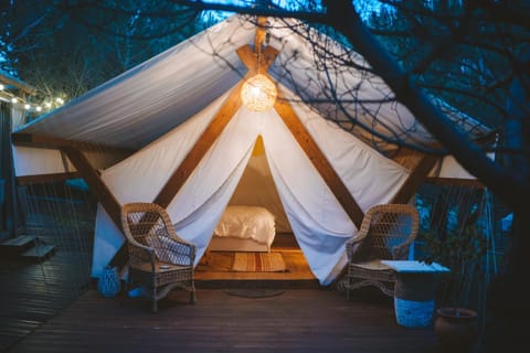 Bed, Night, Natural landscape
