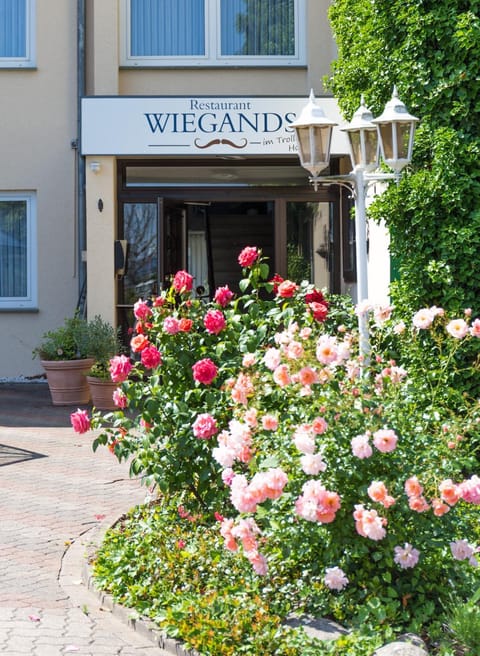 Facade/entrance, Spring, Summer, Garden