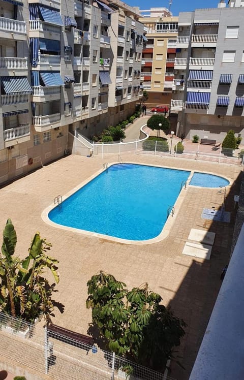 Garden view, Garden view, Pool view, Swimming pool, Inner courtyard view