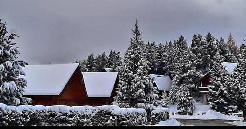 Day, Natural landscape, Winter