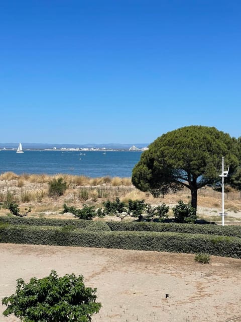 Natural landscape, Beach