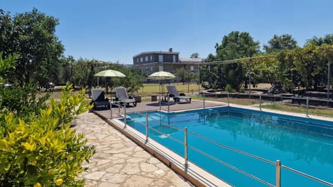 Day, Pool view, Swimming pool, sunbed