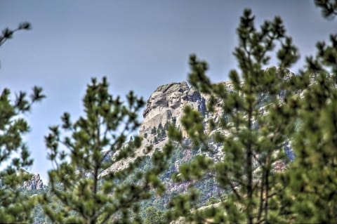 Keystone Escape with Amazing Mt Rushmore View! House in Keystone