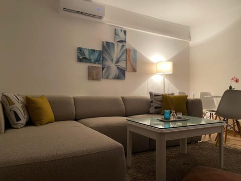 Living room, Seating area, Dining area, air conditioner