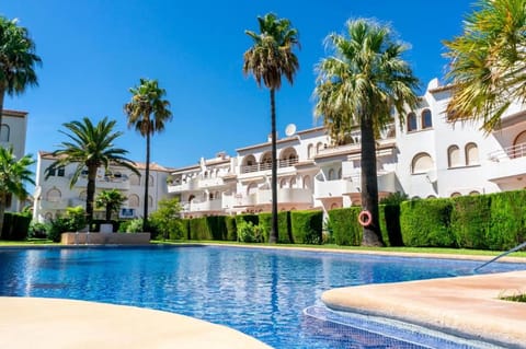 Garden, Garden view, Pool view, Swimming pool, sunbed