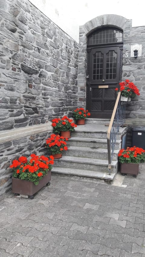 Mosel-Ferienwohnung Bewo Apartment in Graach an der Mosel