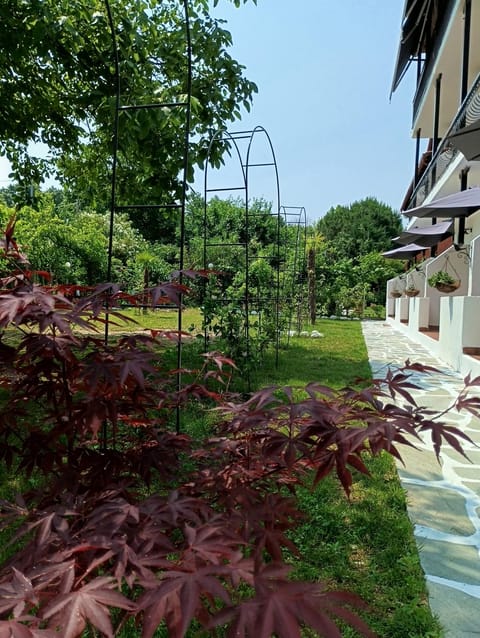 Achillion b&b Apartment in Pieria, Greece