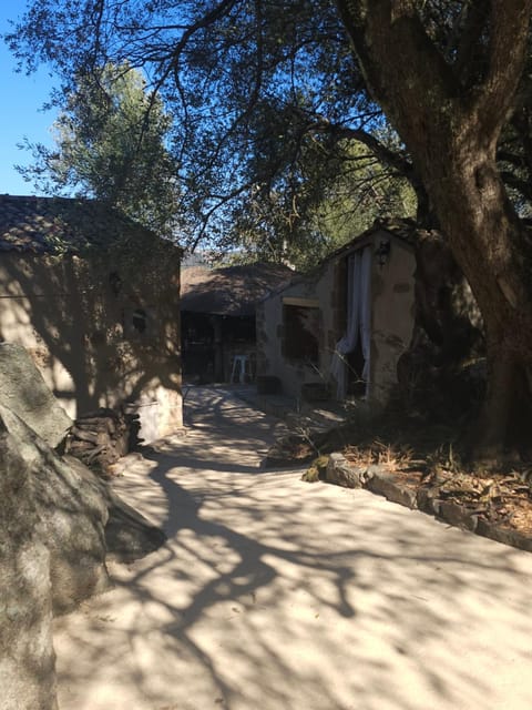 CAMPING GALLINA VARJA Campground/
RV Resort in Porto-Vecchio