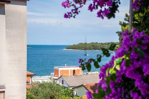 Luna Tsuki Seven Apartment hotel in Rovinj