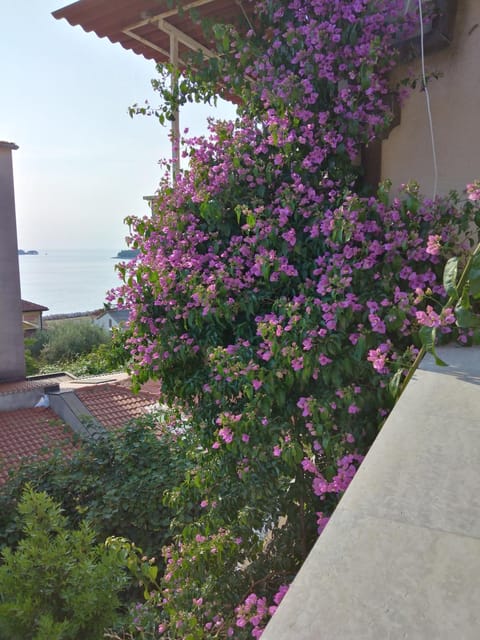 Luna Tsuki Seven Apartment hotel in Rovinj