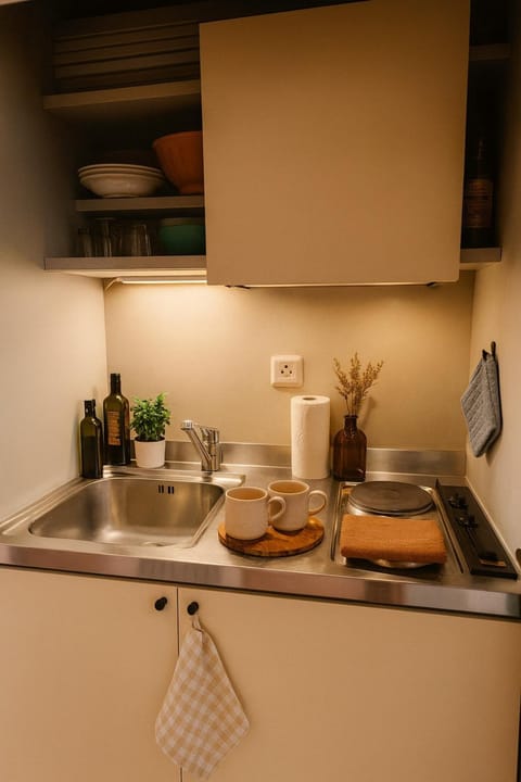 Kitchen or kitchenette, kitchen