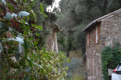 Property building, Natural landscape, Garden view