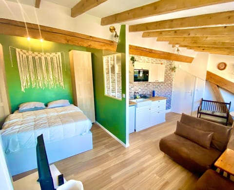 Rétro chic au coeur de Villeurbanne Apartment in Villeurbanne