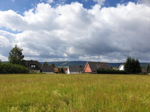 Natural landscape
