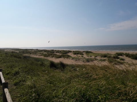 Natural landscape, Beach, Sea view
