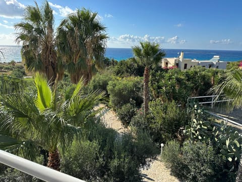 Hotel Plakures Hotel in Crete