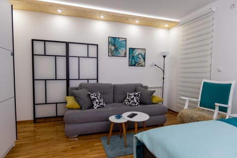 Apartment SELF CHECK IN 00-24 MM Apartment in Belgrade