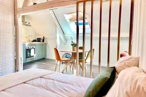 Le Matisse Apartment in Bourges