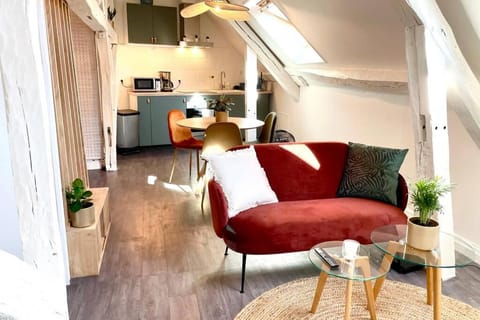 Le Matisse Apartment in Bourges